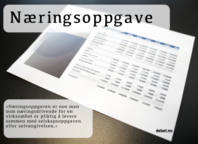 næringsoppgave